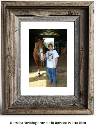 horseback riding near me in Dorado, Puerto Rico